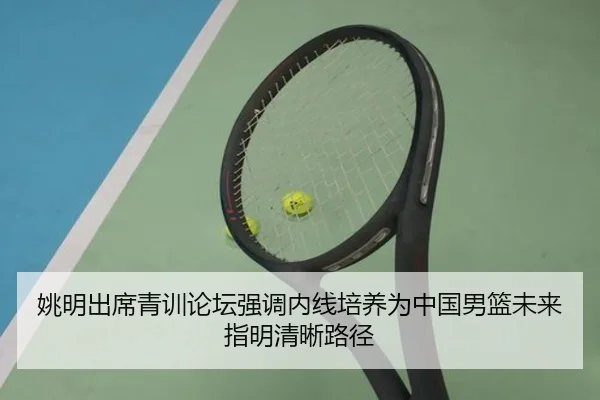 姚明出席青训论坛强调内线培养为中国男篮未来指明清晰路径
